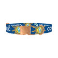 Conch Republic Star Dog Collar - metal rose gold