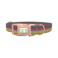 Rainbow Trout Pattern Dog Collar - plastic rose gold