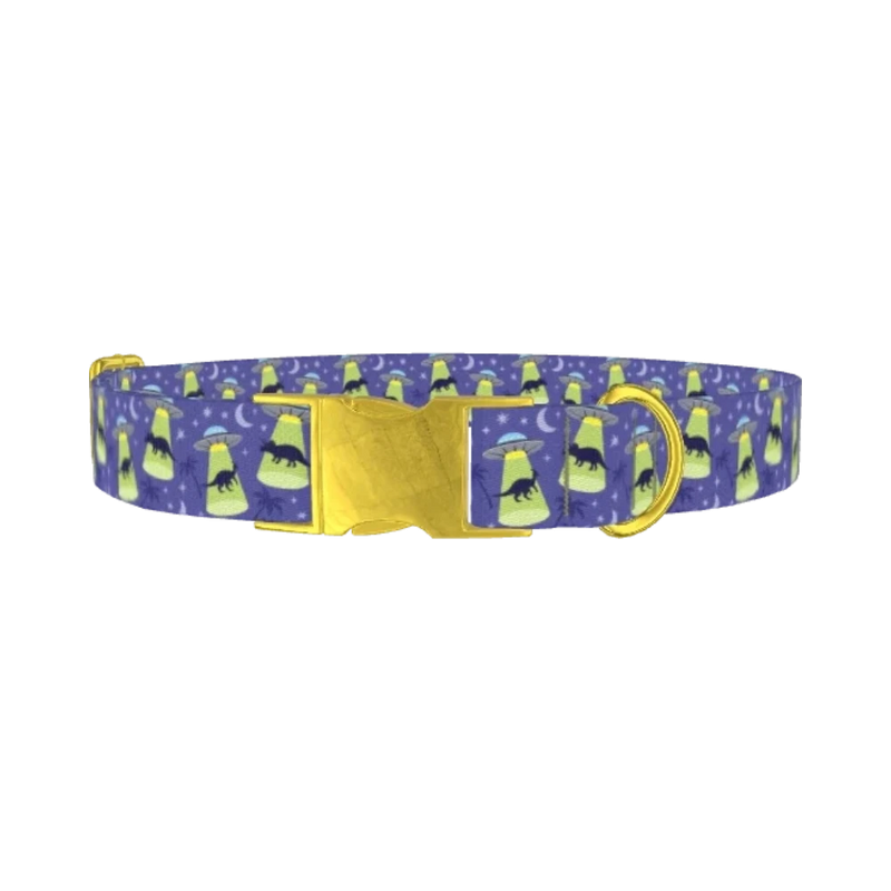 Dinosaur UFO Dog Collar - metal gold