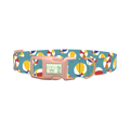 Colorful Beach Ball Pattern Dog Collar - plastic rose gold