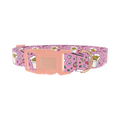 Noodle Takeout Dog Collar - plastic rose gold