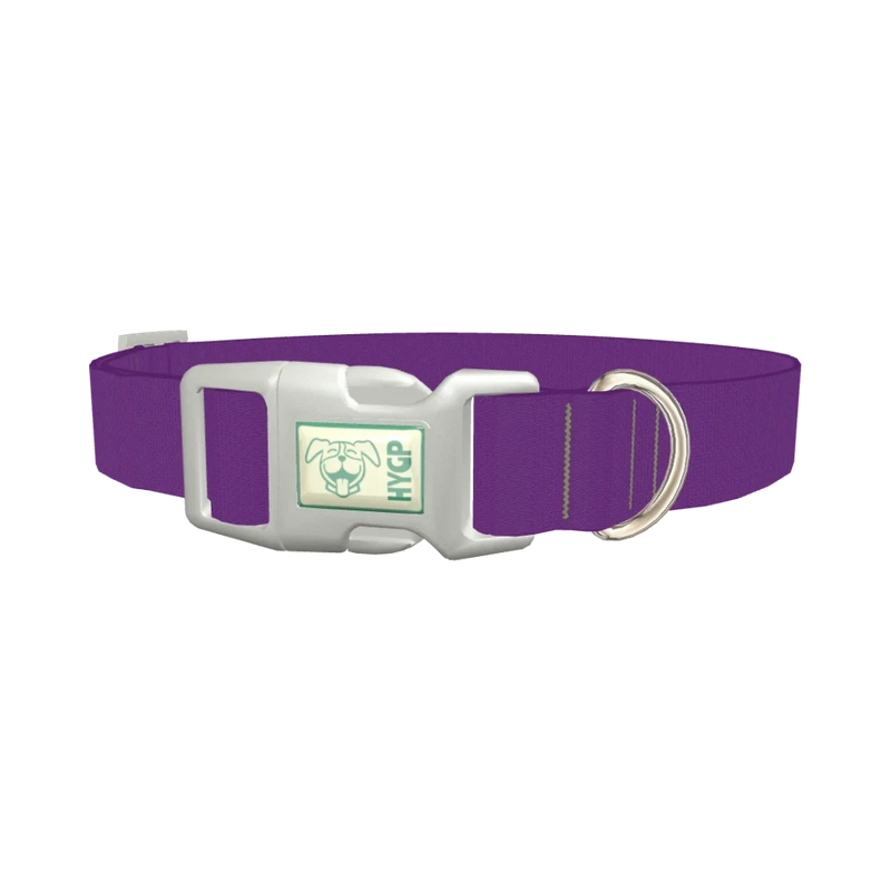 Maximum Purple Color Dog Collar - plastic silver