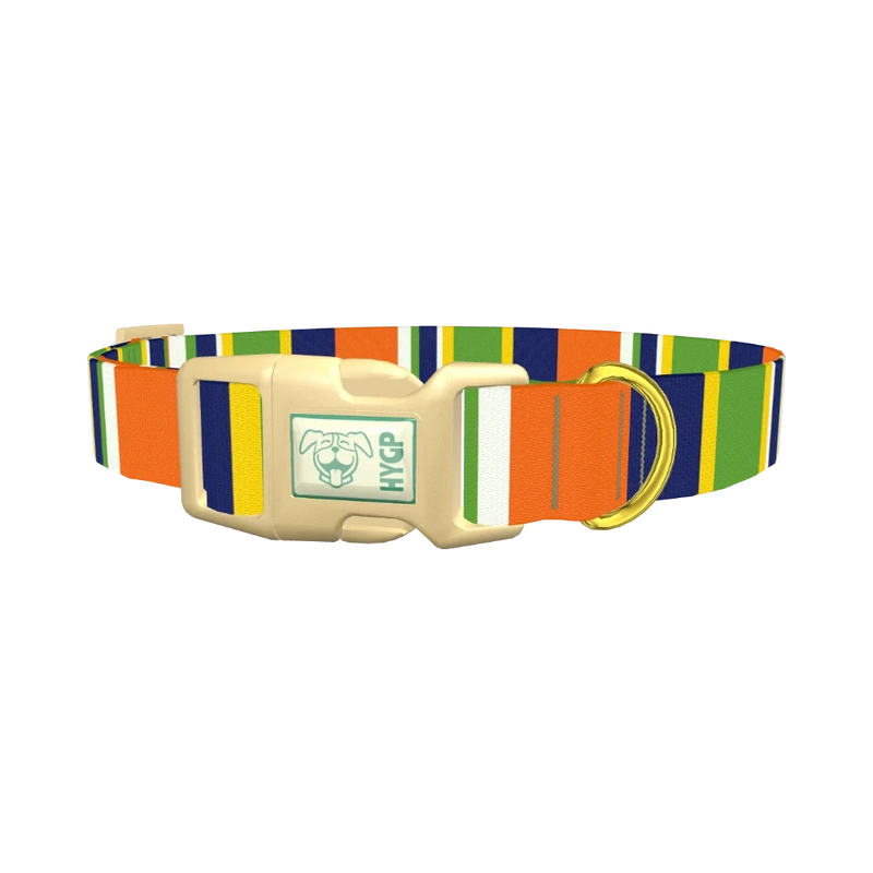 Striped Dog Collar - plastic gold