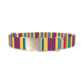 Yellow Purple Stripe Dog Collar - metal silver