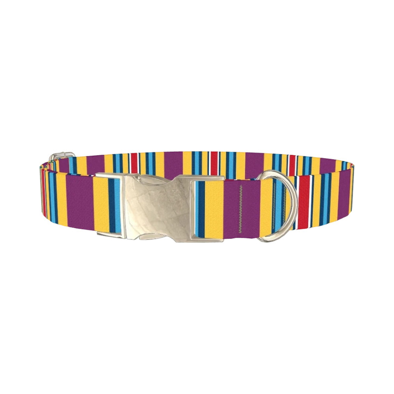 Yellow Purple Stripe Dog Collar - metal silver