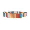 Multicolor Hexagon Stripe Dog Collar - metal rose gold