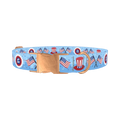 Patriotic American Dog Collar - metal rose gold
