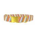 Colorful Diagonal Stripe Dog Collar - metal gold