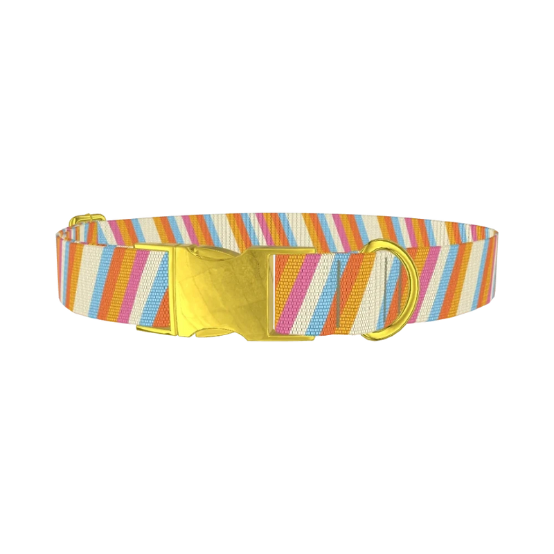Colorful Diagonal Stripe Dog Collar - metal gold