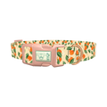 Floral Fruit Dog Collar - plastic rose gold