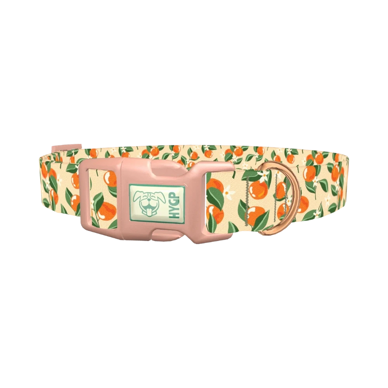 Floral Fruit Dog Collar - plastic rose gold