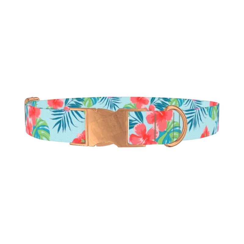 Multi Floral Hibiscus Dog Collar - metal rose gold