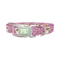 Noodle Takeout Dog Collar - plastic silver