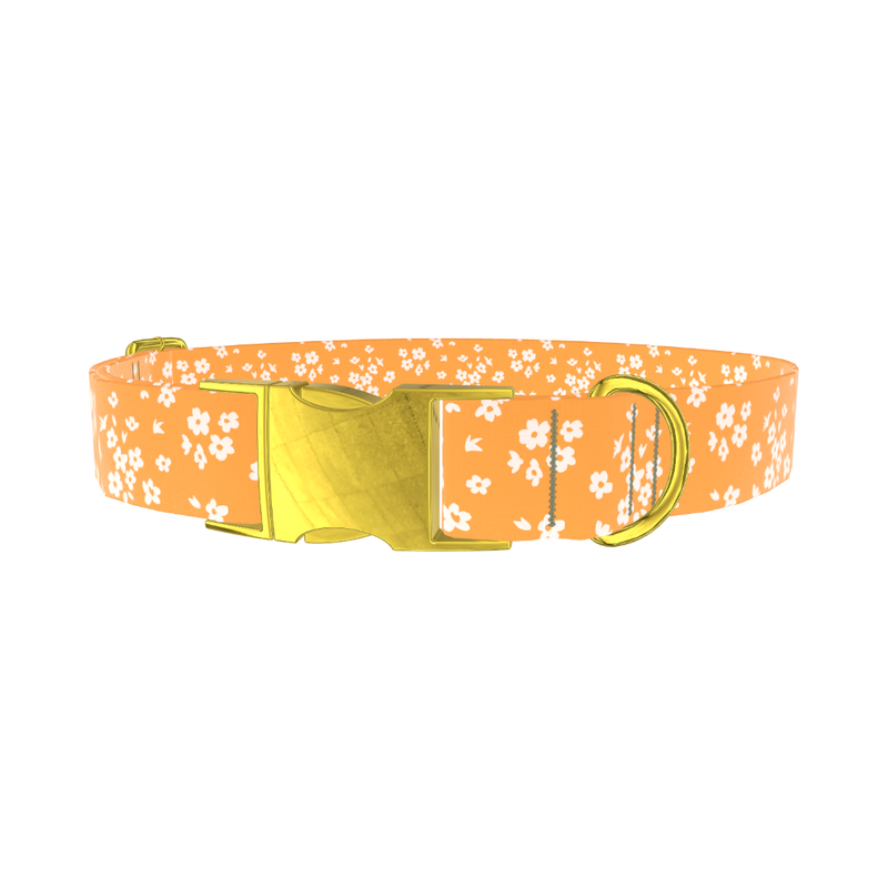 Yellow Blossom Dog Collar - metal gold