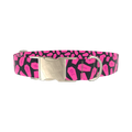 Halloween Coffin Dog Collar - metal gold