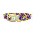 Colorful Leaf Pattern Dog Collar - plastic gold