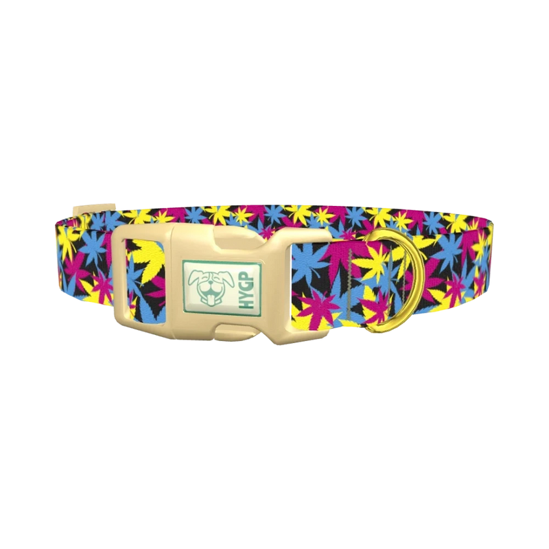 Colorful Leaf Pattern Dog Collar - plastic gold