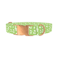 Lime Musical Note Dog Collar - metal rose gold