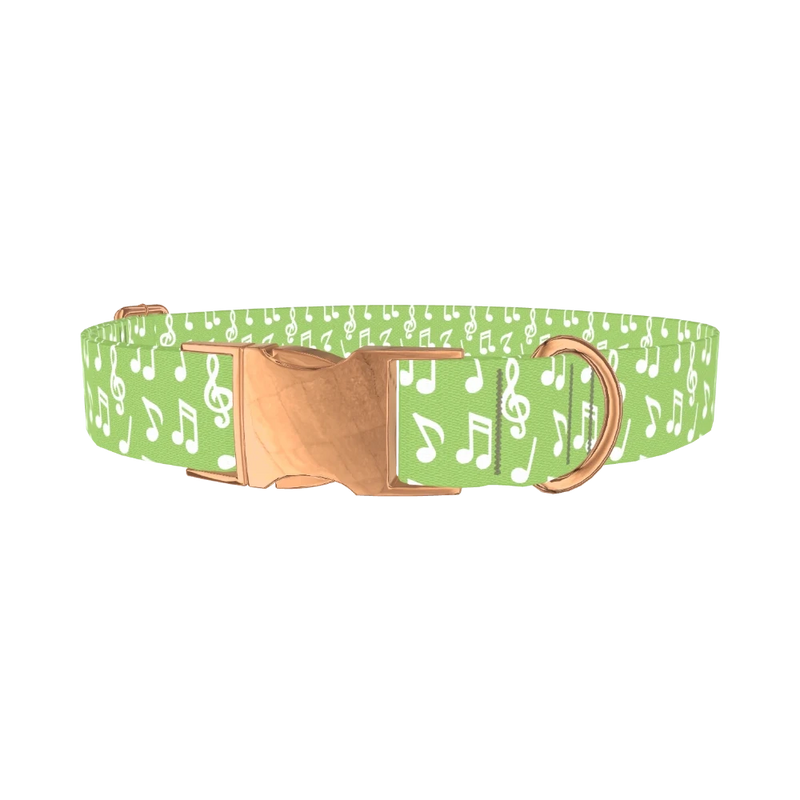 Lime Musical Note Dog Collar - metal rose gold
