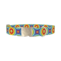 Rainbow Burst Dog Collar - metal silver