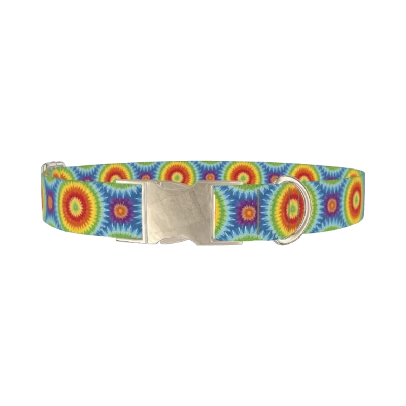 Rainbow Burst Dog Collar - metal silver