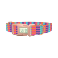 Color Block Stripes Dog Collar - plastic rose gold