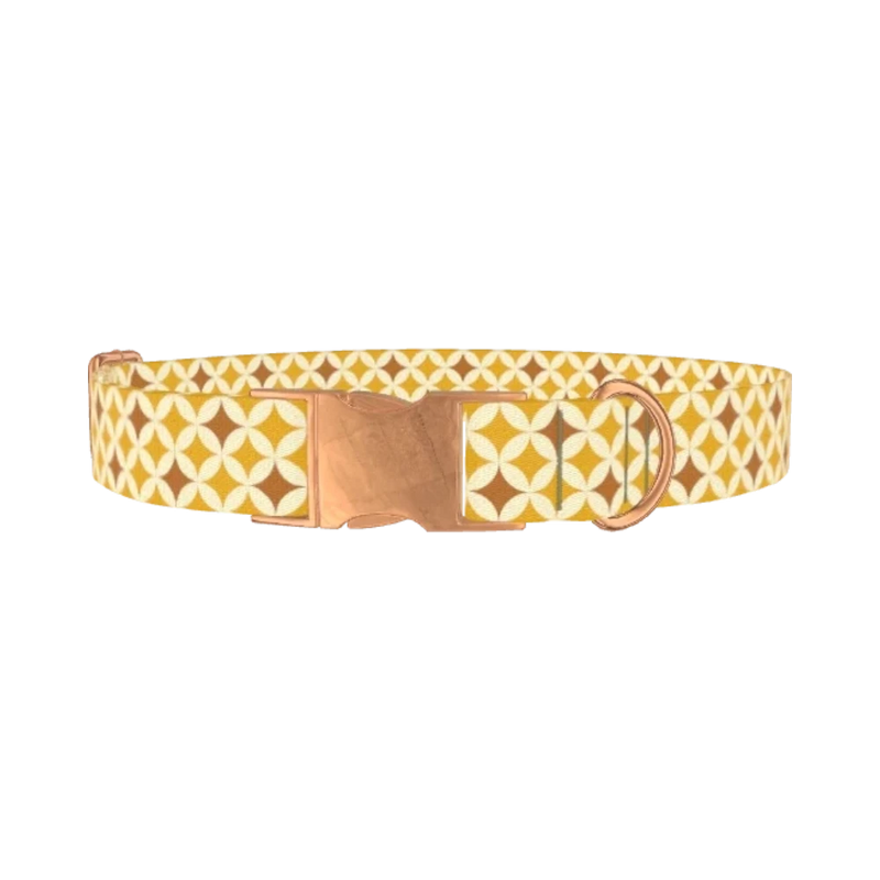 Yellow Geometric Star Dog Collar - metal rose gold