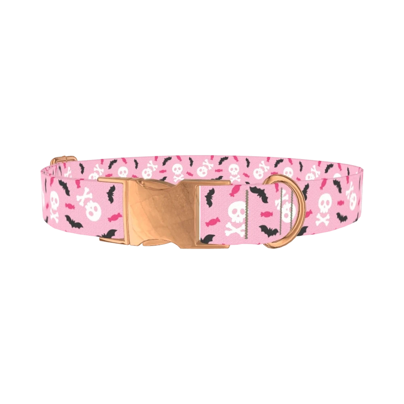 Halloween Skulls and Bats Dog Collar - metal rose gold