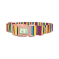 Yellow Purple Stripe Dog Collar - plastic rose gold