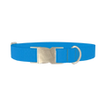 Atmosphere Color Dog Collar - metal silver