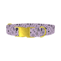 Halloween Witchy Mirror Dog Collar - metal gold