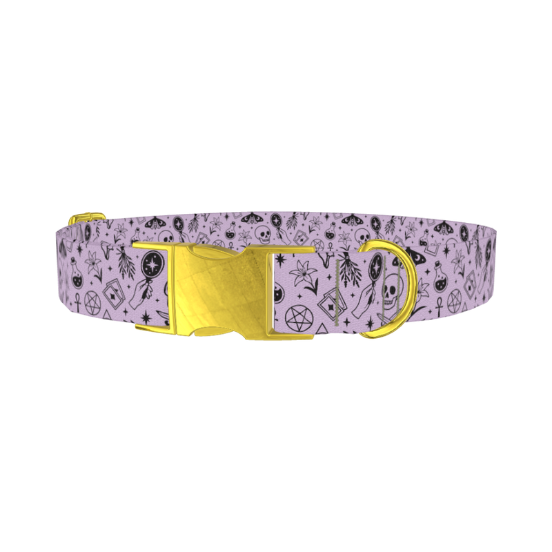 Halloween Witchy Mirror Dog Collar - metal gold