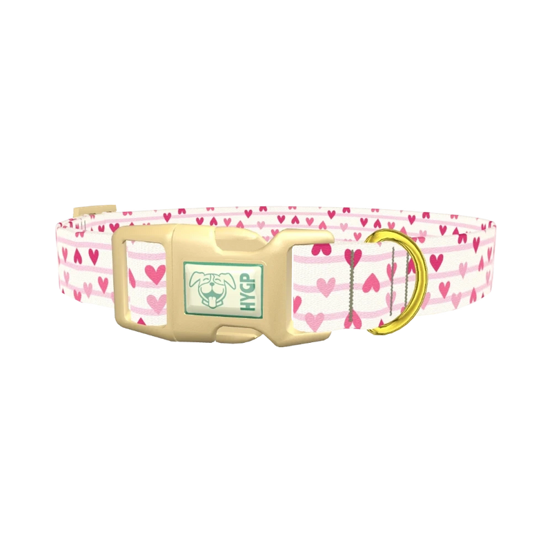 Striped Heart Dog Collar - plastic gold