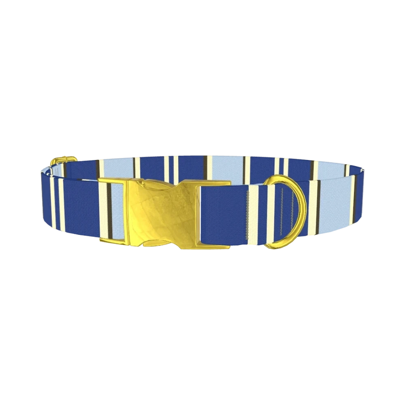 Navy Stripes Dog Collar - metal gold