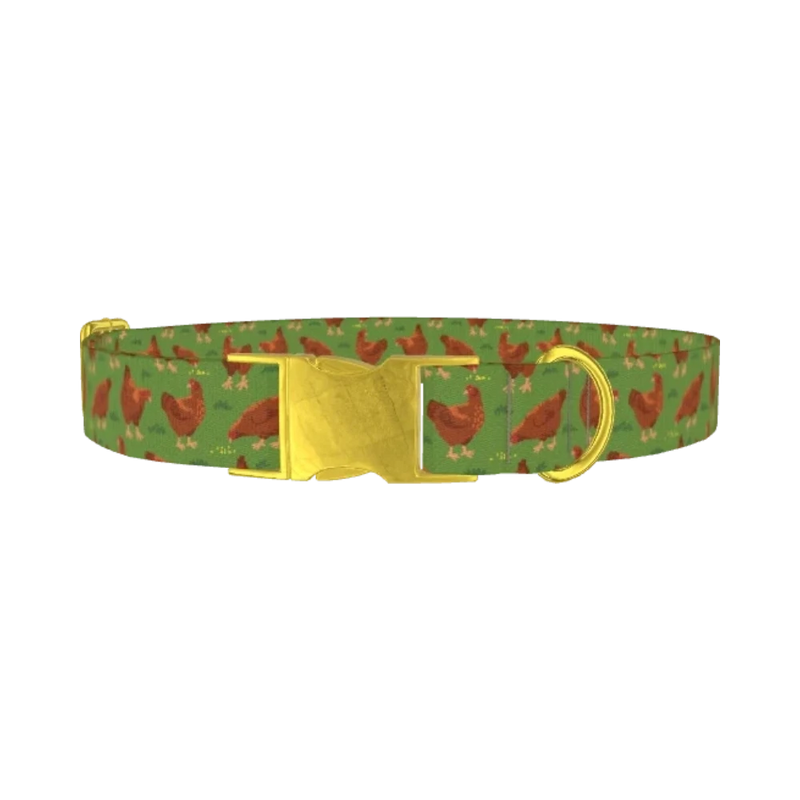 Chicken Farm Dog Collar - metal gold
