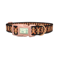 Gothic Gingerbread Dog Collar - plastic rose gold