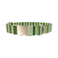 Green Striped Pattern Dog Collar - metal gold