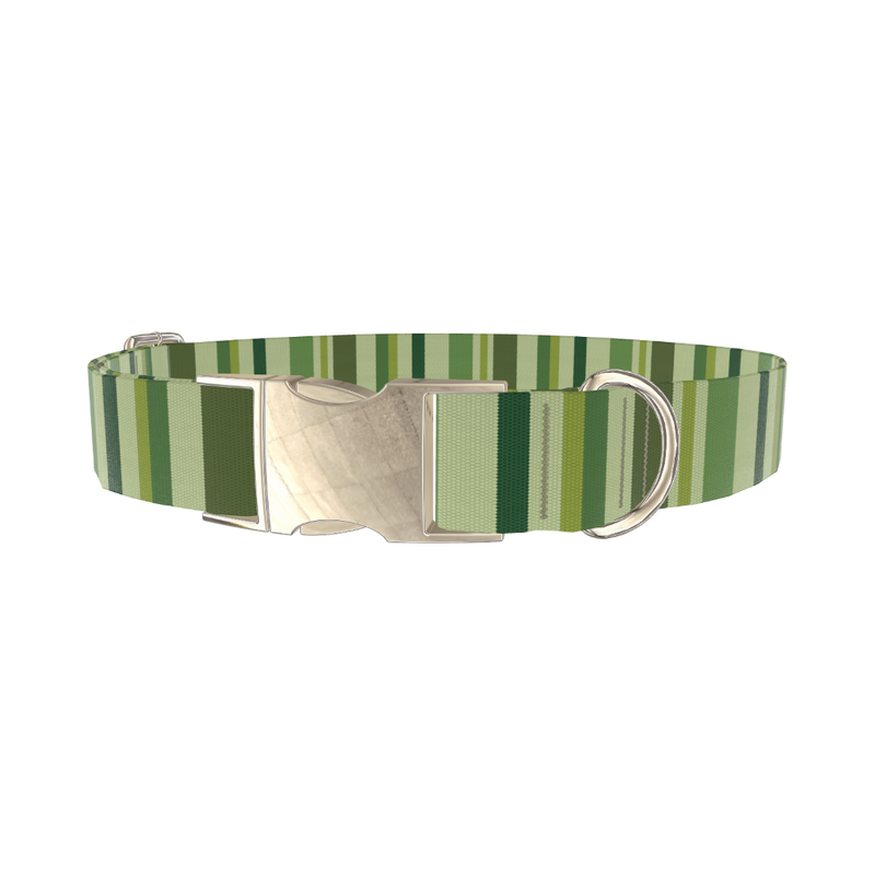 Green Striped Pattern Dog Collar - metal gold