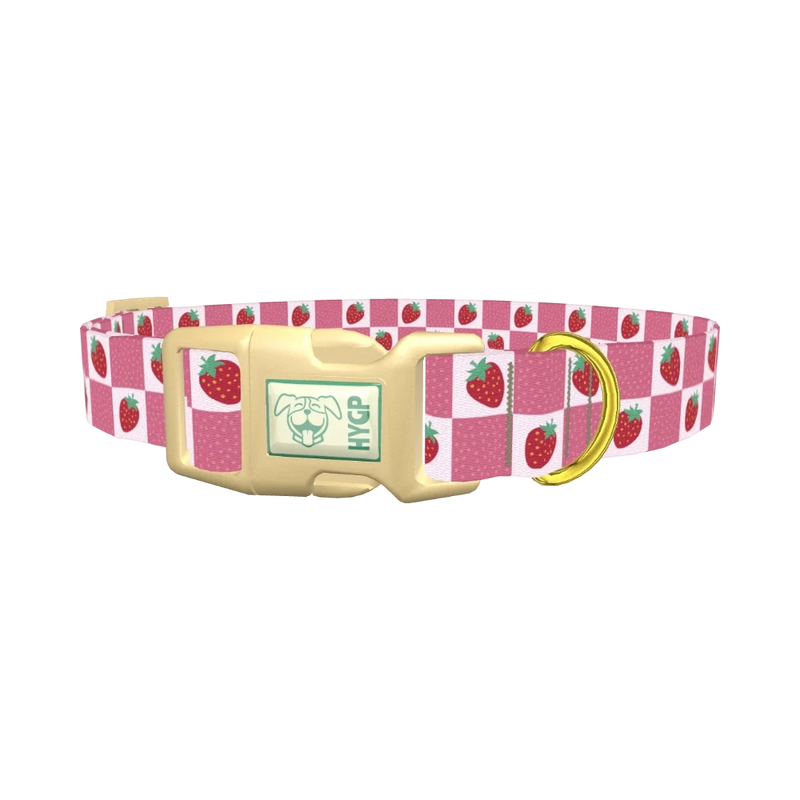 Strawberry Patch Dog Collar - plastic gold