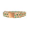St. Patrick's Clover Stripe Dog Collar - metal rose gold