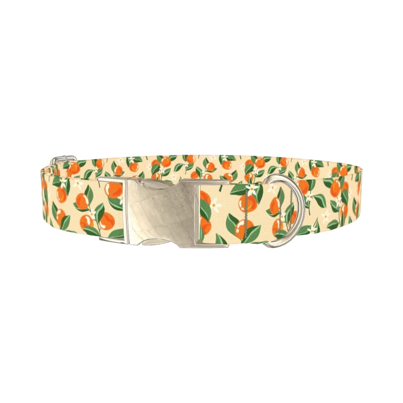 Floral Fruit Dog Collar - metal silver