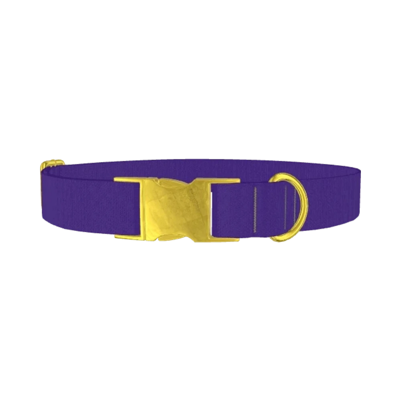 Blue Magenta Violet Color Dog Collar - metal gold