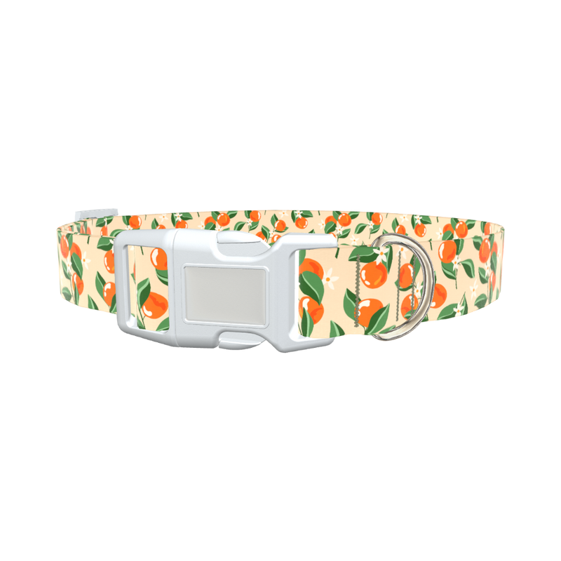 Floral Fruit Dog Collar - plastic rose gold