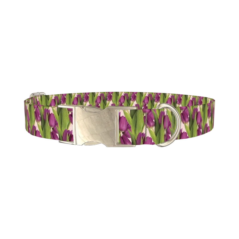 Purple Tulip Pattern Dog Collar - metal silver