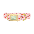 Valentine Heart Bike Dog Collar - plastic gold