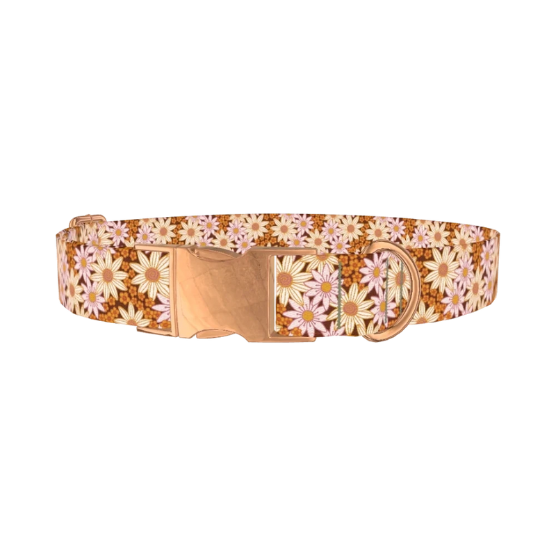 Retro Floral Dog Collar - metal rose gold