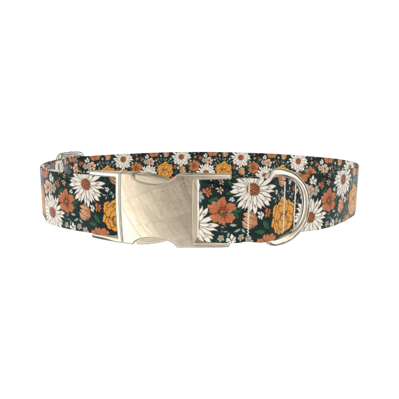 Dark Multicolor Floral Dog Collar
