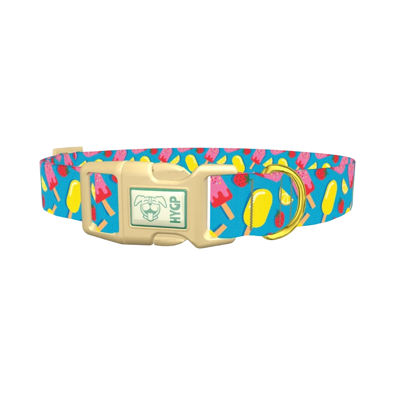 Summer Ice Cream Dog Collar - plastic gold
