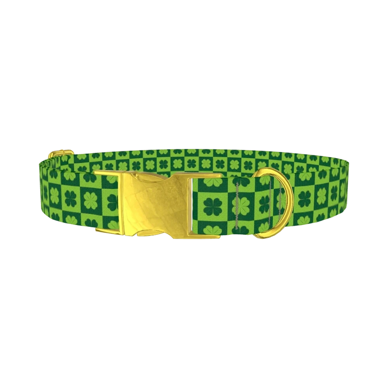 Checkered Clover Dog Collar - metal gold