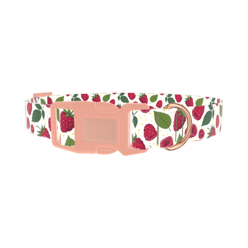 Raspberry Fruit Dog Collar - plastic rose gold